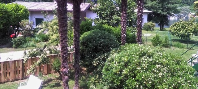 Residenza Agapanthus