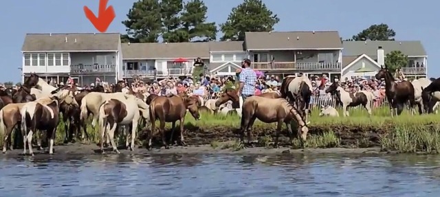 Riptide’s Crossing: A waterfront getaway w/deep water dock and incredible views