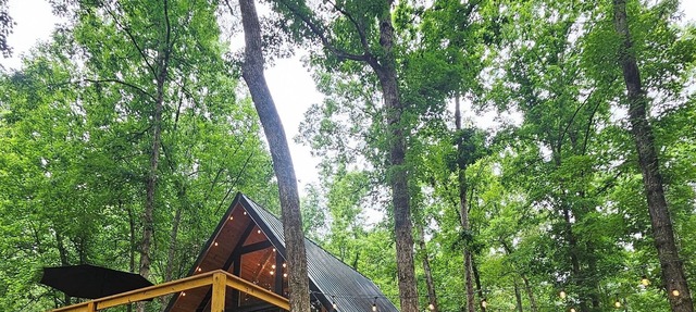 River cabin Private, Scenic A-frame,Nigerian dwarf goats