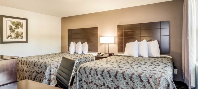 Rodeway Inn Middleboro - Plymouth