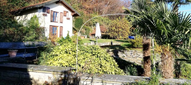 Romantic cottage surrounded by greenery with lake view