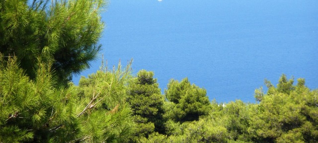 Romantic Villa, panoramic sea view & explore Athens