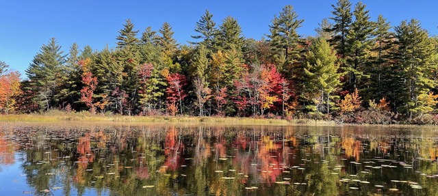 Rustic and luxurious 4 bedroom house on secluded NH lake!
