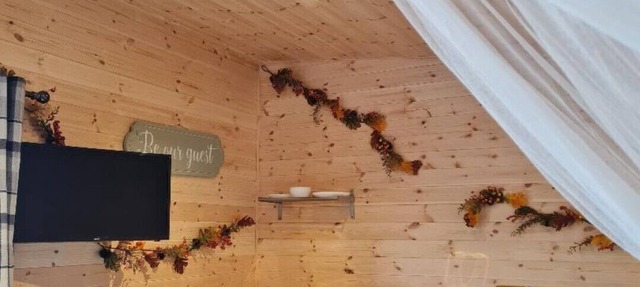 Rustic Cabin