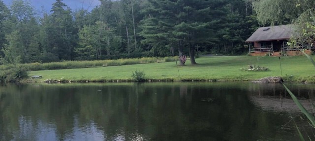 Rustic cabin on private pond and 7 acres -Nature immersion! Hummingbirds to owls