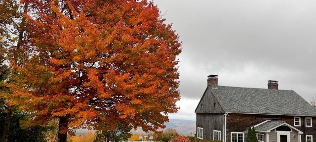 Rustic, dog-friendly escape with private pool, sweeping views, & W/D