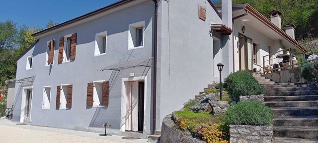 Rustic forest house on the hill between fig trees