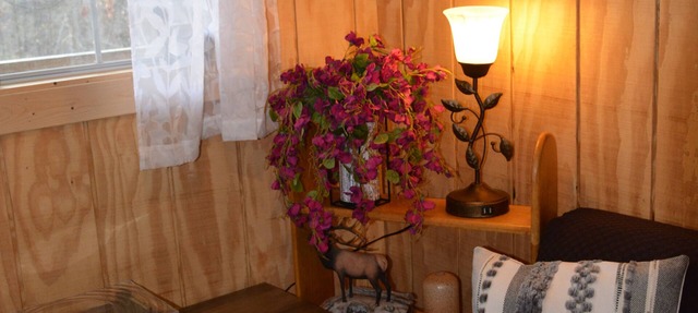 Rustic Primitive Cabin near Athens GA!