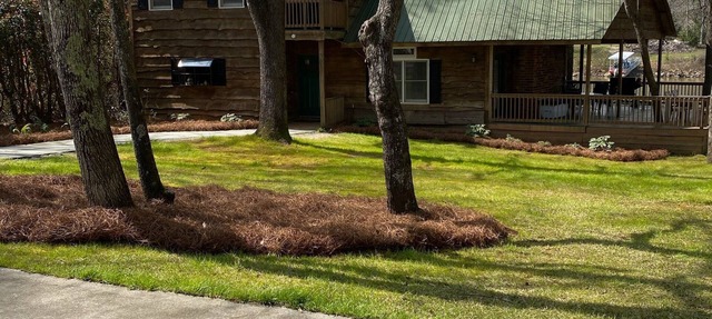 Rustic Waterfront Cabin Lake Wateree