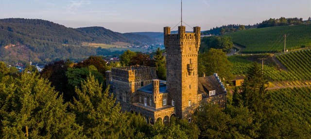 Saar Castle - cozy Mansion near vineyard