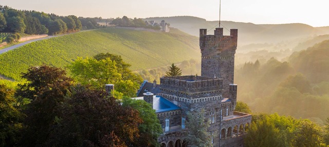 Saar Castle - Unique Castle in Wine Region