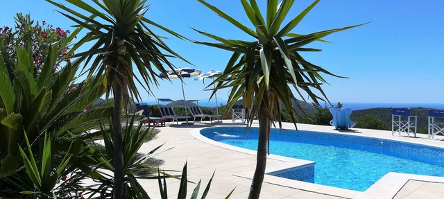 Saha tourist accommodation among olive trees and sea view