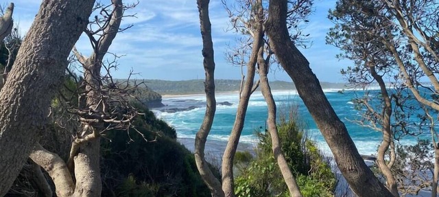 Seaside at Seven, Dolphin Point