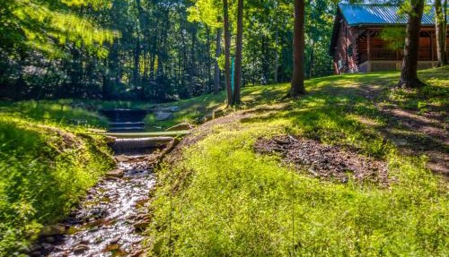 Secluded Cabin w/On-Site Creek + Trails!