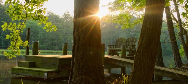 Secluded Waterfront 15mi to Assateague Beach Fast Wifi Kayaks Near Berlin, OC!