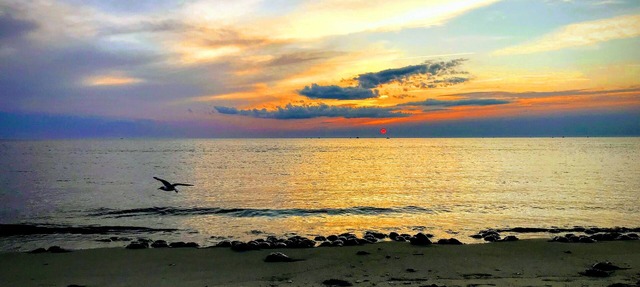 Shore to Please. Big family, pet friendly beach house.