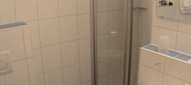 Single Room 1 - Hotel Garni Goldener Schwan