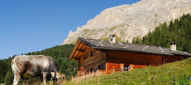 Ski-In Vacation Home “Thaleralm” on the Alp with Mountain View, Terrace & Garden