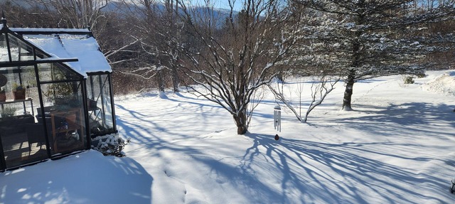 Spacious 4+ bedrm VT house near Stratton,Bromley, Wild Wings or Viking Resorts.