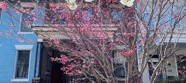 Spacious four-bed, three-and a half- bath townhome in Washington DC.
