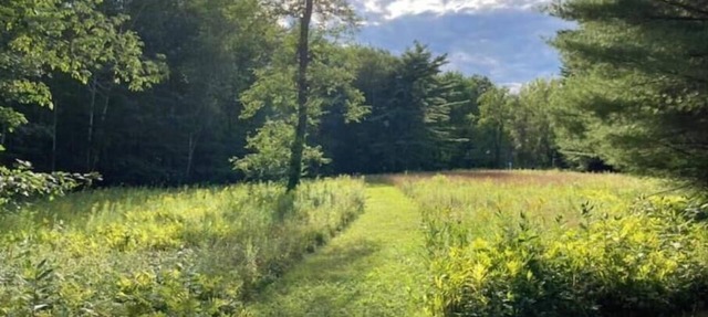Spacious lake retreat on 17 acres