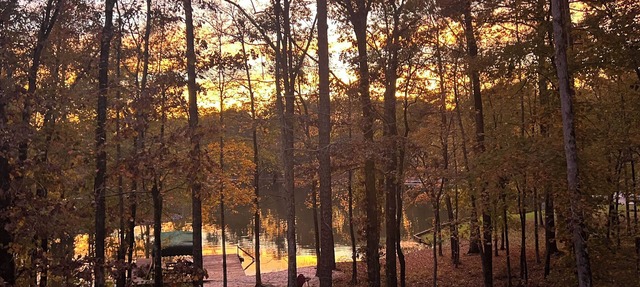 Spacious private home on Lake Oconee- located in a quiet cove.