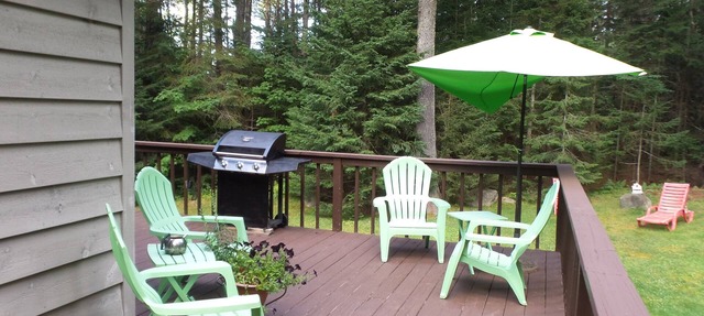 Spacious Three Bedroom, Two Bath Home. Animals Welcomed. In Lake Placid.