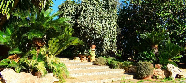 Spacious villa surrounded by greenery, ideal for groups(Numerous all inclusive services)