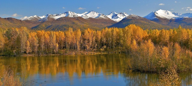 SpringHill Suites Anchorage University Lake