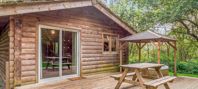 Squirrel Log Cabin 4