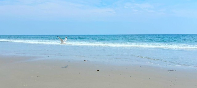 Steps to Beach seaside retreat. 3BR 2BA home where comfort meets charm;