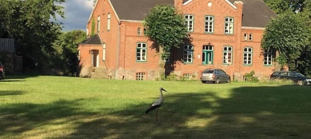 "Storch" Vacation Rental on an Idyllic Country Estate