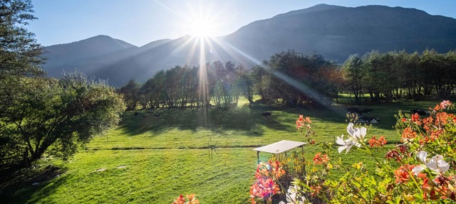 Studio Apartment 'Hausergut Topaz' with Mountain View, Shared Garden and Wi-Fi