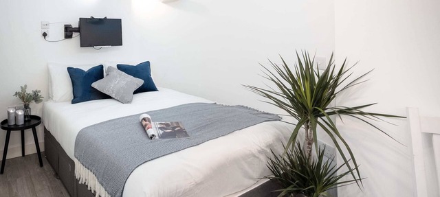 Studio Apt next Pimlico