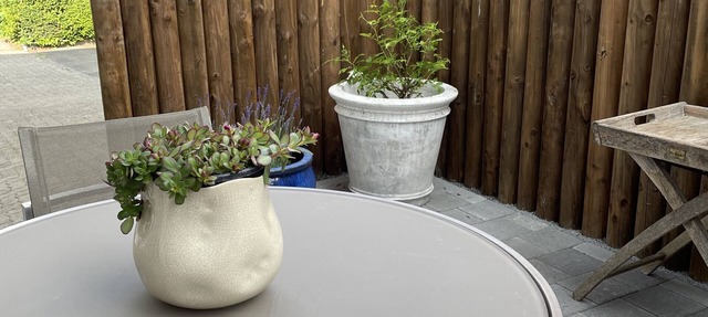 Studio Gocki: by the forest and close to Zurich