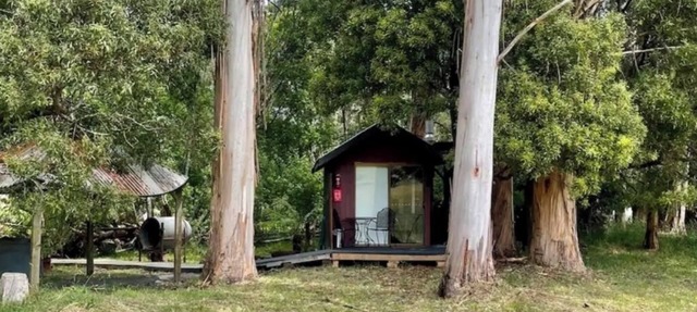 Take a break and unwind in this peaceful and relaxing bush setting