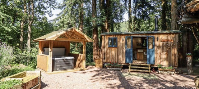 Tanglewood Shepherds Hut, Welshpool