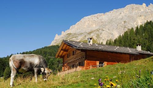 Thaleralm