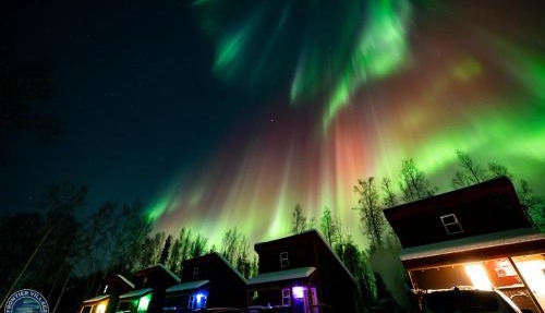 The Cozy Caribou - Frontier Village