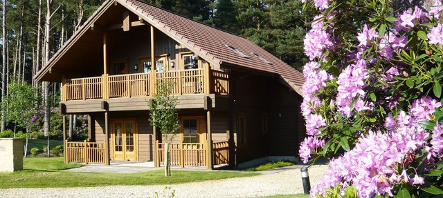 The Dorset Resort