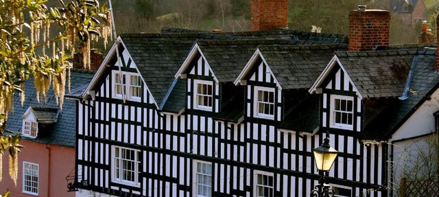 The Dragon Hotel