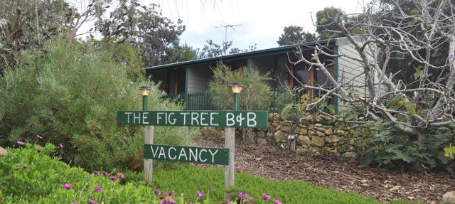 The Fig Tree B&B