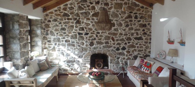 The fig tree house