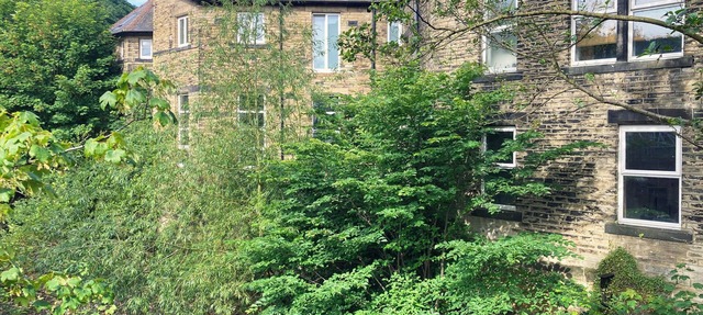 The Old Riverside School House Apt 3