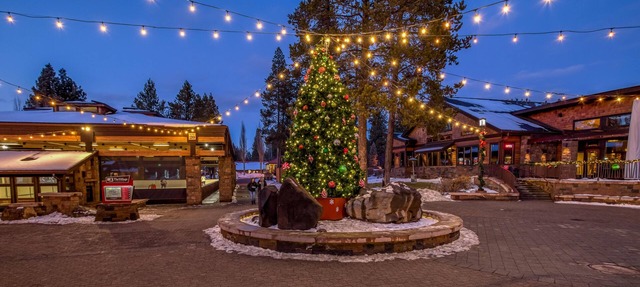 The Stellar Cabins