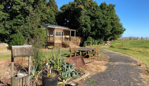 The Treehut