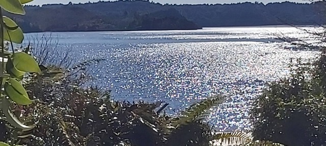 THE WOW FACTOR Paradise found, all the home comforts at stunning Lake Rotoma