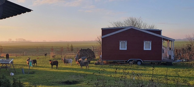 Tiny House "Dat kleene Huus"