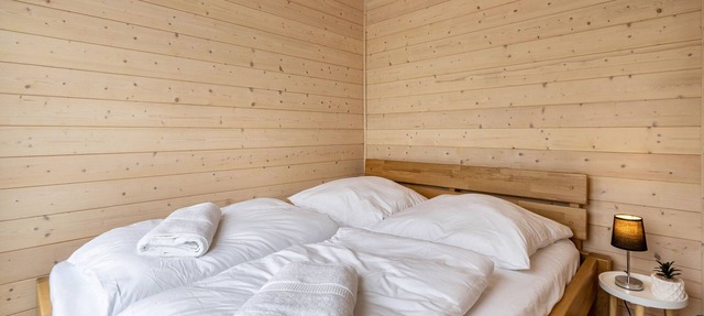 Tiny House ‘Ditmar’ with direct lake view, terrace, sauna and direct access to the lake