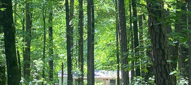 Tiny Retreat with boat dock , Lake Hartwell, GA